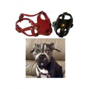 Dog Muzzle For Boston Terriers