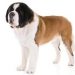 Puppy Food For Saint Bernards