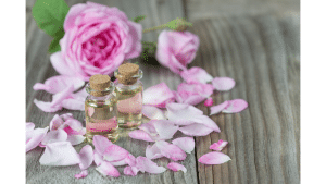 Best Essential Oils For Cats