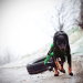Best Weight Vests For Dogs