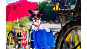 How To Make A Diy Dog Trailer