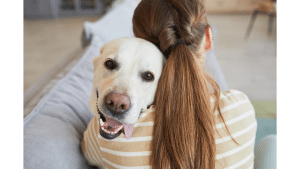 What Are The Best Cuddle Dogs