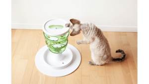 The Best Slow Feeders For Cats