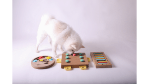 Diy Puzzle Toys For Dogs