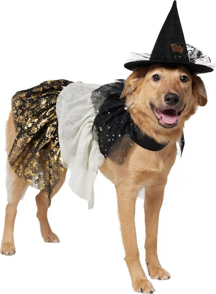 Frisco Enchanted Witch Dog & Cat Hat and Cape Costume, X-LargeXX-Large