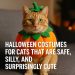 Orange tabby cat wearing a pumpkin Halloween costume with text “Halloween Costumes for Cats That Are Safe, Silly, and Surprisingly Cute