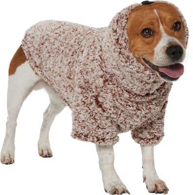 Dog wearing cozy sherpa coat with built-in snood hood.