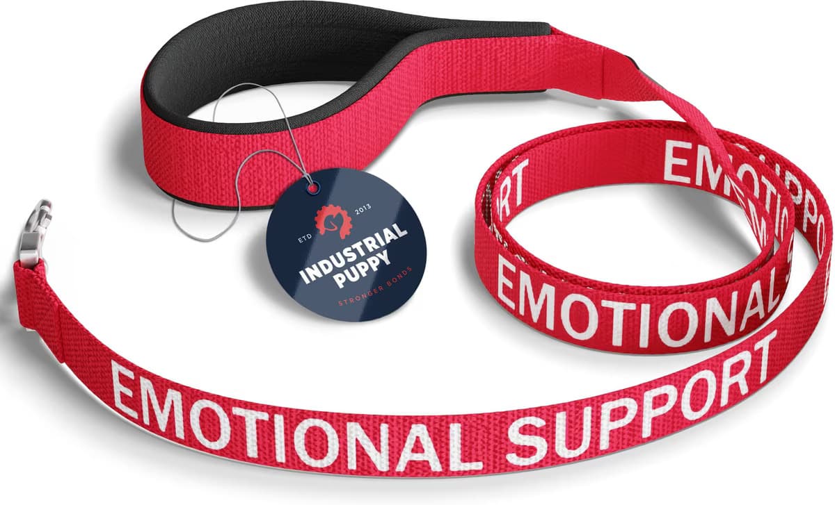 Industrial Puppy Emotional Support Dog ESA Nylon Reflective Dog Leash, Red Product Image (1)